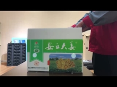 scatola di legumi in cartone vuoto in PP