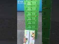 Scatole per frutta e verdura