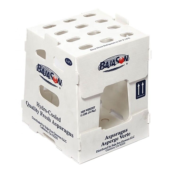 Fabbrica OEM Produce PP Plastic Corrugated Box per il mais dolce fresco Broccoli Aubergine Ginger Box