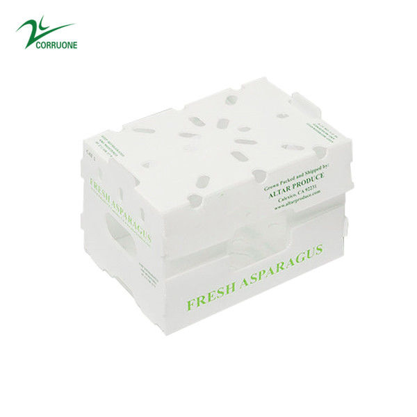 Corruone Acque resistenti Polipropilene pieghevole di plastica ondulata Frutta ortaggi Asparagi/Zenzero/Taro/Okra Scatola di imballaggio