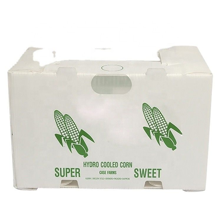 Corregx Fruit Box PP Corrugated Plastic Box per ortaggi e agricoltura