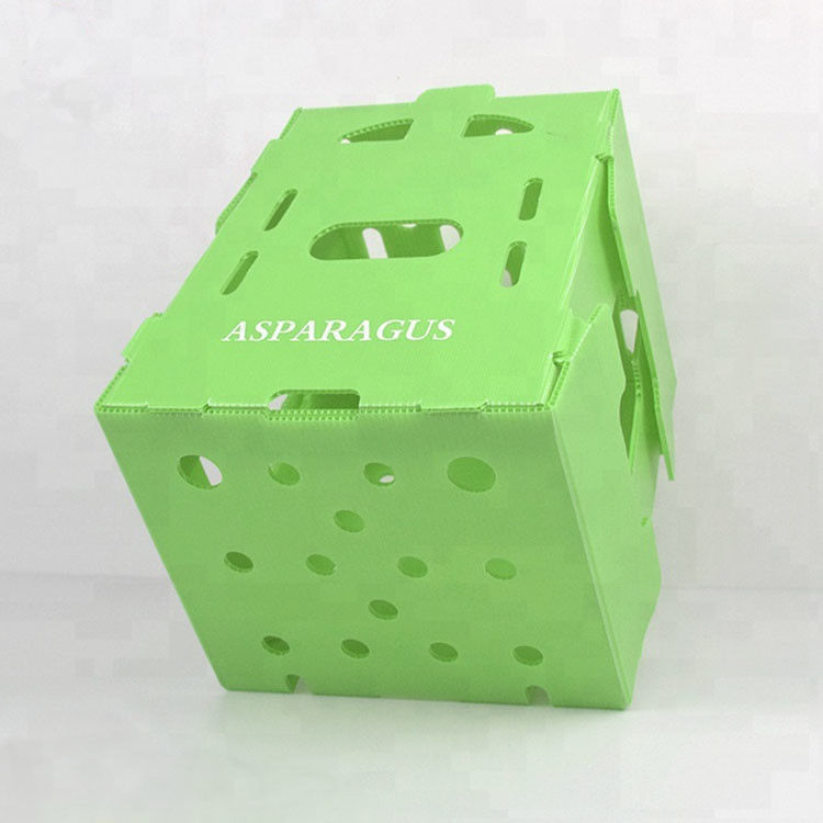 Personalizza la scatola di plastica ondulata eco-compatibile per il broccoli e il mais scatola correx broccoli di mais e imballaggio agricolo