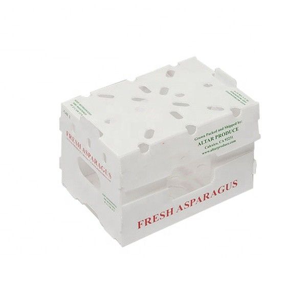 Corregx Fruit Box PP Corrugated Plastic Box per ortaggi e agricoltura