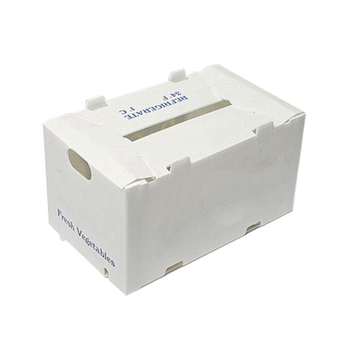 Corregx Fruit Box PP Corrugated Plastic Box per ortaggi e agricoltura