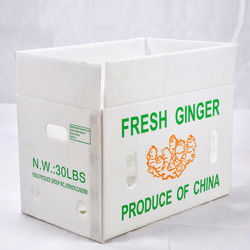 Corregx Fruit Box PP Corrugated Plastic Box per ortaggi e agricoltura