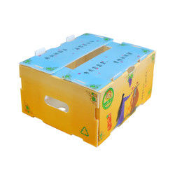 Corregx Fruit Box PP Corrugated Plastic Box per ortaggi e agricoltura