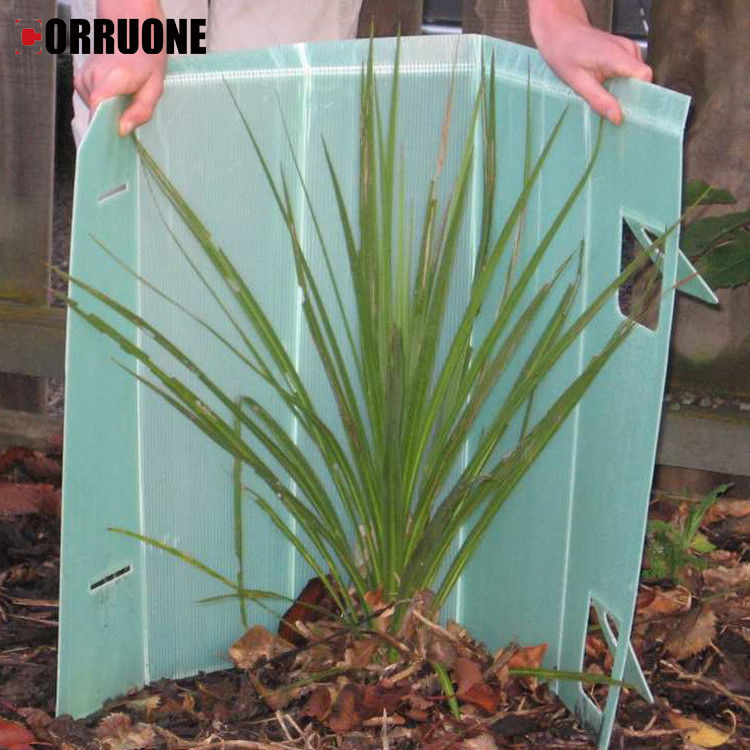 Fogli di plastica poco costosi per nido d'api di plastica proteggitore di fogli di plastica in pp carta di plastica ondulata che protegge efficacemente i giovani alberi