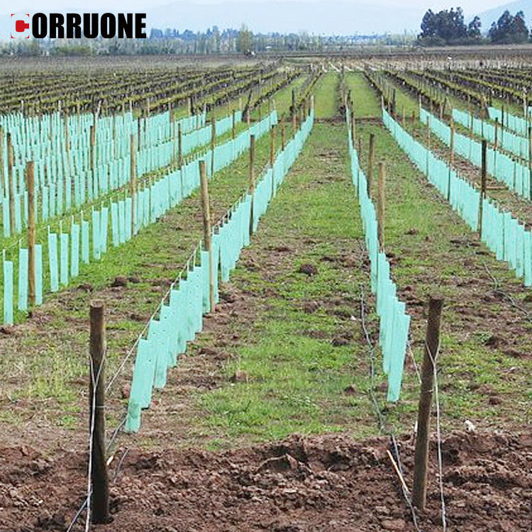 Fogli di plastica poco costosi per nido d'api di plastica proteggitore di fogli di plastica in pp carta di plastica ondulata che protegge efficacemente i giovani alberi