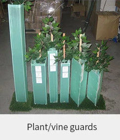 protettori del tronco di Green Plastic Tree della guardia dell'albero di 1.5mm pp Corflute