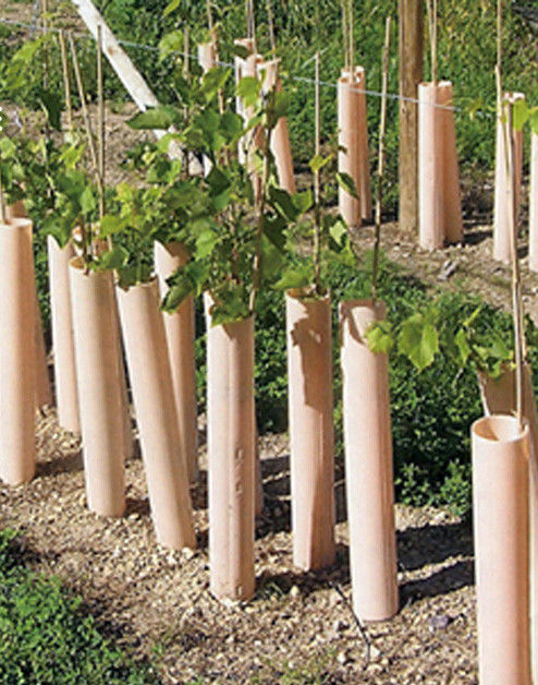 protettori del tronco di Green Plastic Tree della guardia dell'albero di 1.5mm pp Corflute