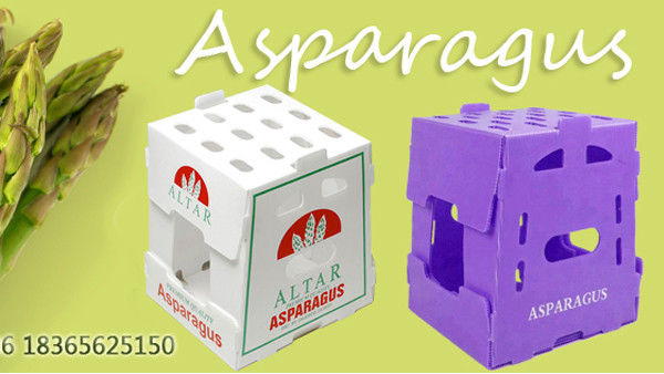 Imballaggio per frutta e verdura su misura Scatole di plastica ondulata Scatole di imballaggio in PP ondulate