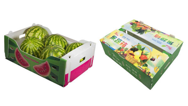Imballaggio per frutta e verdura su misura Scatole di plastica ondulata Scatole di imballaggio in PP ondulate