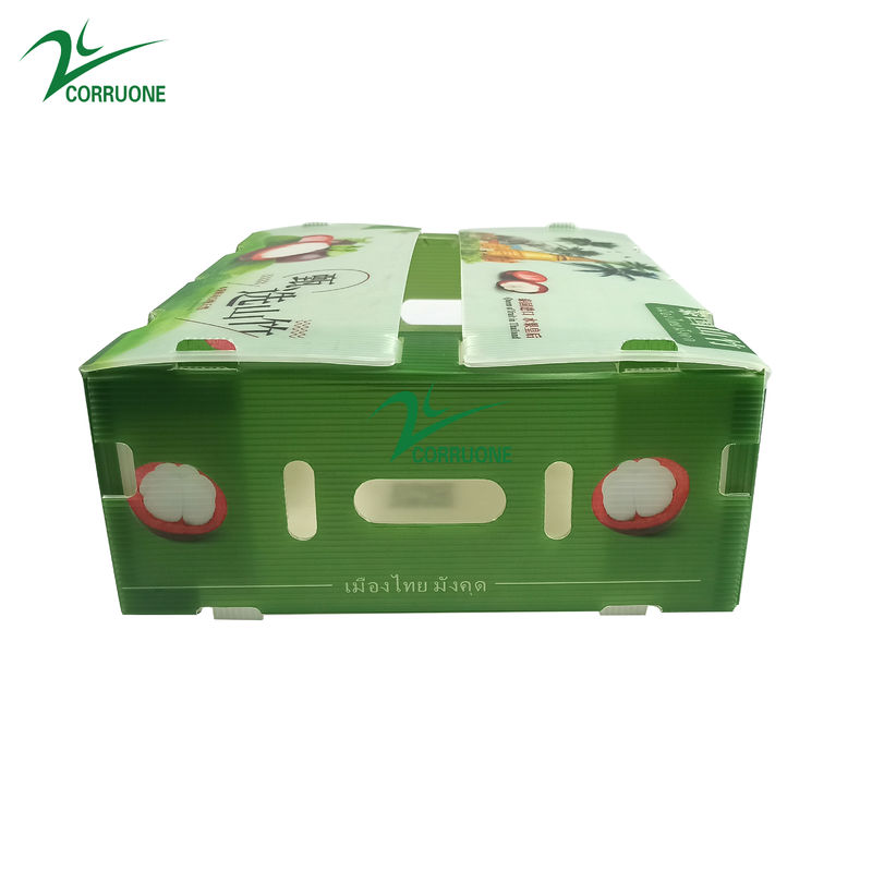 Corruone Collapsible PP Corrugated Plastic Danpla Box Scatole di fogli di plastica in polipropilene Scatole di stoccaggio corrugate