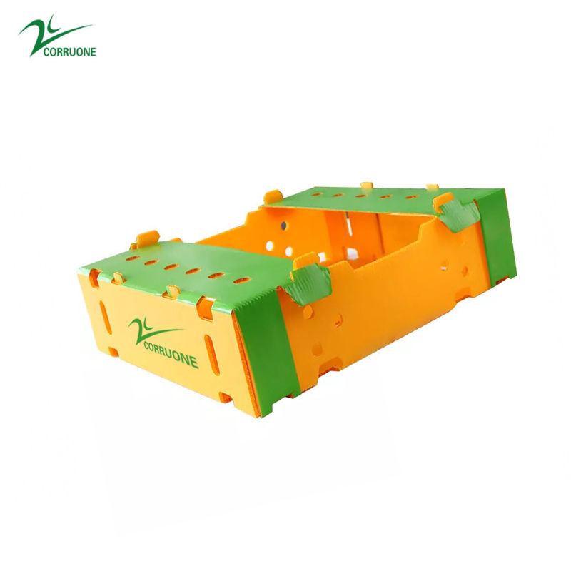 Corruone Collapsible PP Corrugated Plastic Danpla Box Scatole di fogli di plastica in polipropilene Scatole di stoccaggio corrugate