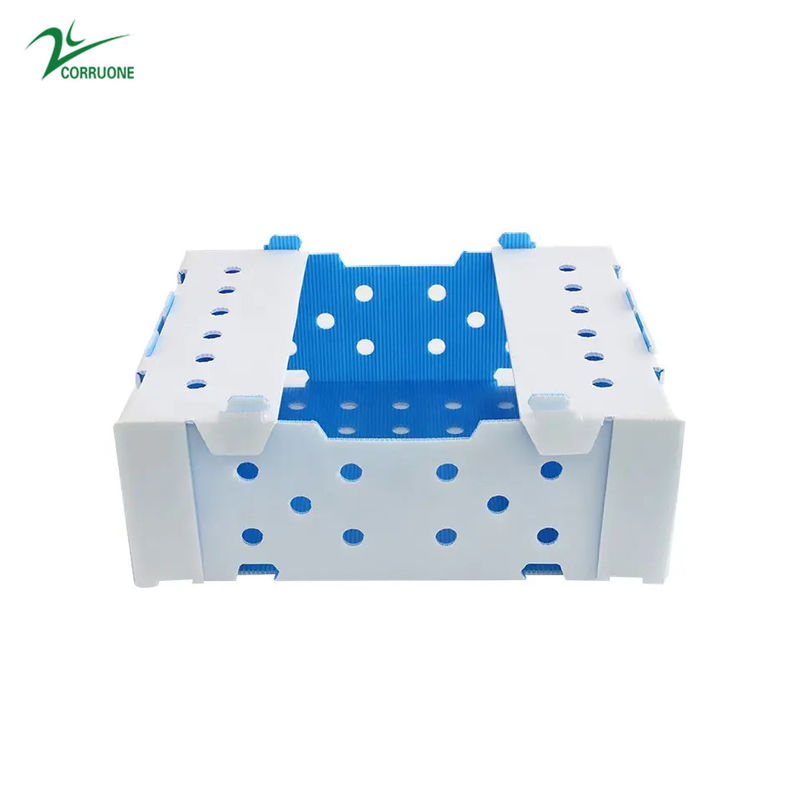 1.5mm-30mm pp ha ondulato verde blu bianco delle scatole dell'imballaggio di plastica