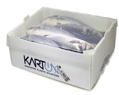 Corruone PP polipropilene 5 KG & 10 KG Casse di imballaggio per carne o pesce surgelati impermeabili personalizzate