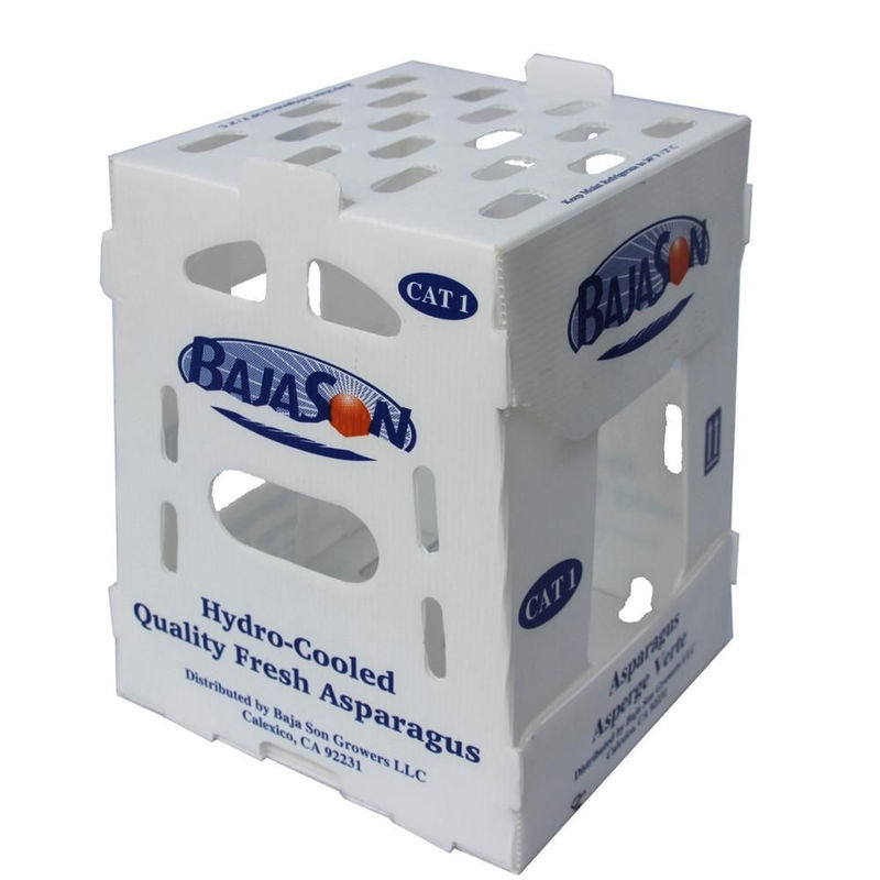 scatole di plastica di 5mm 6mm Correx pp per la frutta e le verdure