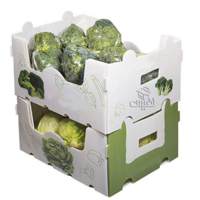 scatole di plastica di 5mm 6mm Correx pp per la frutta e le verdure
