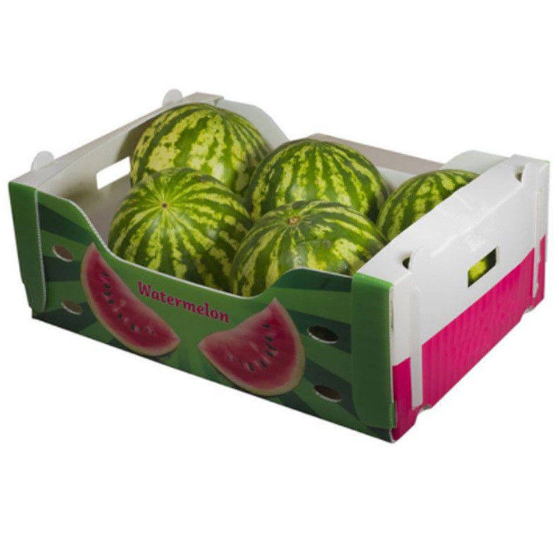 scatole di plastica di 5mm 6mm Correx pp per la frutta e le verdure
