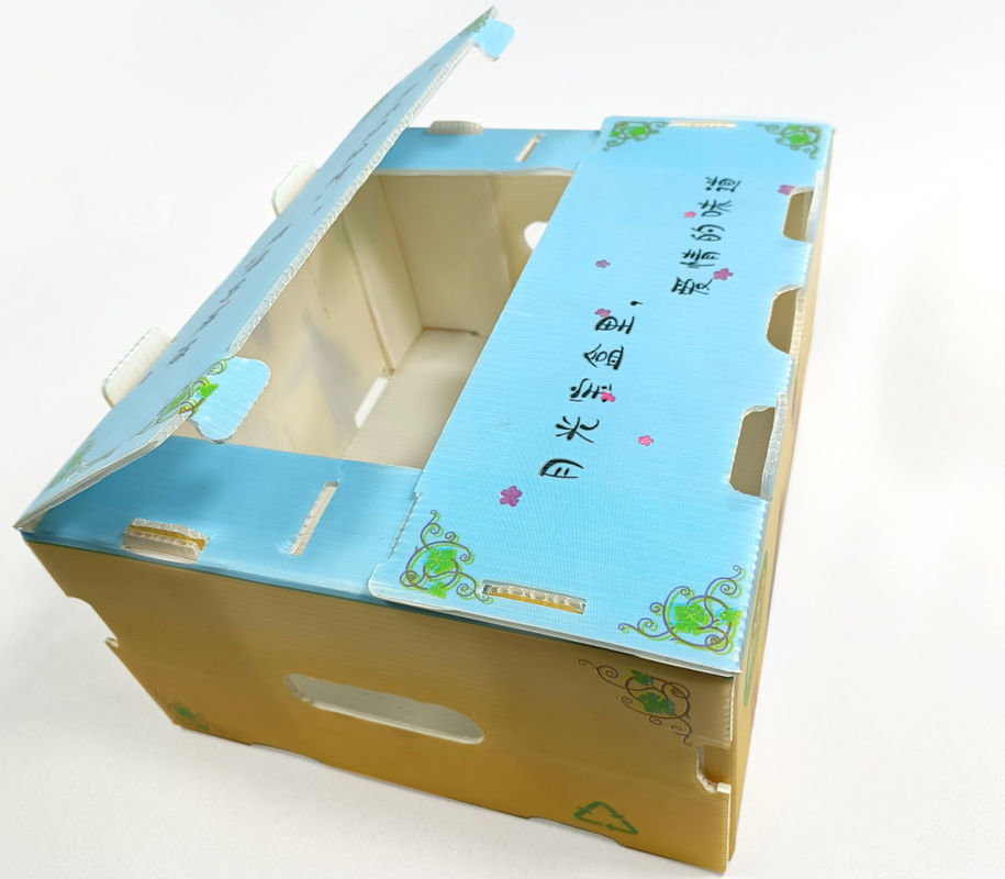 Gli spinaci hanno ondulato i prodotti di plastica inscatolano le scatole di stoccaggio di 2mm Corflute