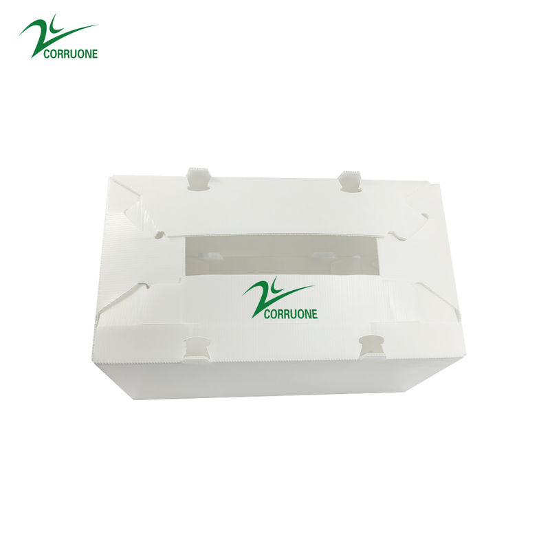 Gli spinaci hanno ondulato i prodotti di plastica inscatolano le scatole di stoccaggio di 2mm Corflute