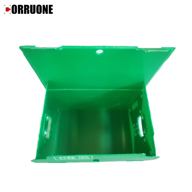 Correx impermeabile pp ha ondulato le scatole spesse di immagazzinamento nella scatola 12mm Corflute