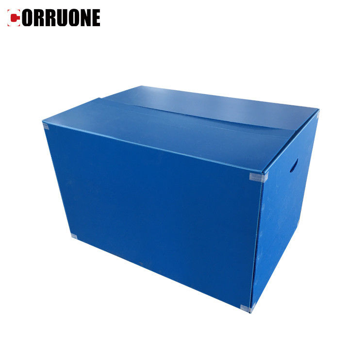 Correx impermeabile pp ha ondulato le scatole spesse di immagazzinamento nella scatola 12mm Corflute