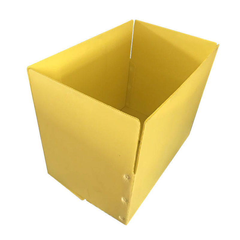 L'asparago giallo Correx pp ha ondulato le scatole di immagazzinamento nella scatola 3.5mm Corflute