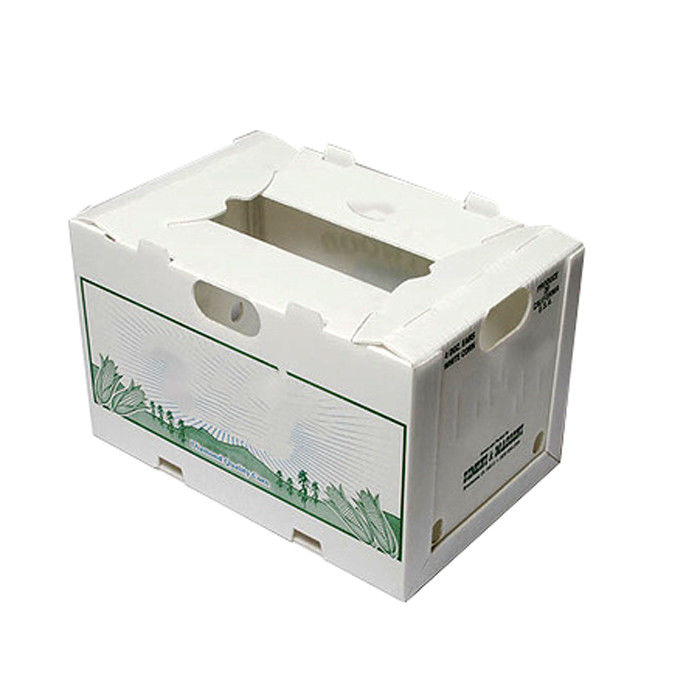 il cereale di 3.5mm ha ondulato le scatole commoventi di plastica Matt Lamination Printing