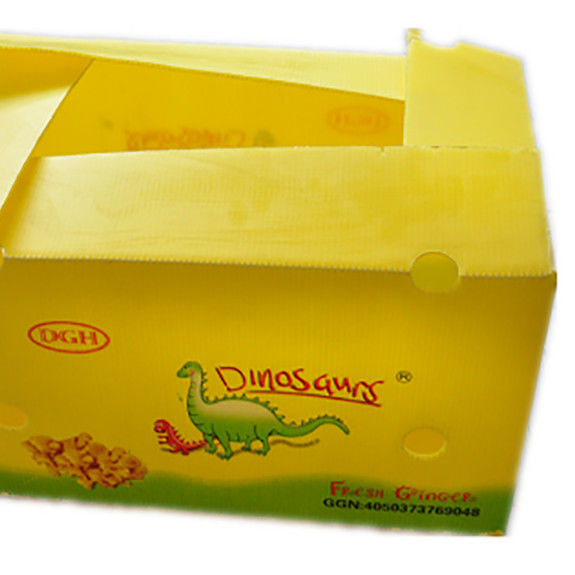 Imballaggio di ortaggi di frutta PP Cartone di plastica Uve Scatole di imballaggio di plastica Scatole di broccoli carta di zenzero ondulata