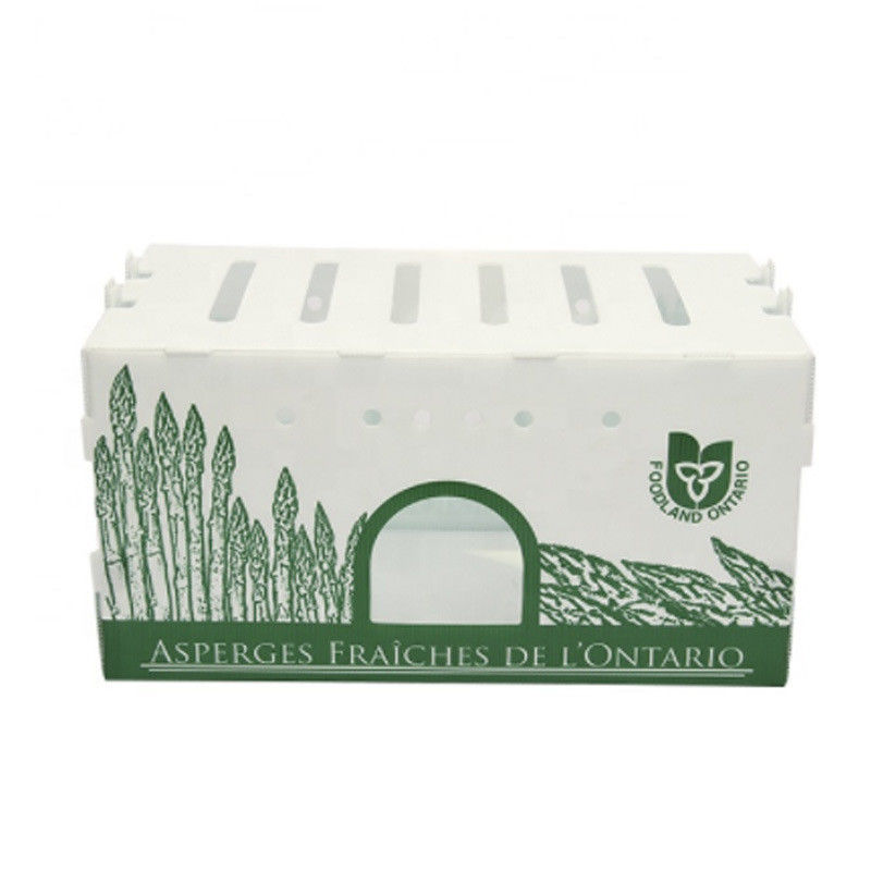 Scatola di plastica ondulata in PP per ortaggi e frutta Scatola di imballaggio per broccoli di mais e agricoltura