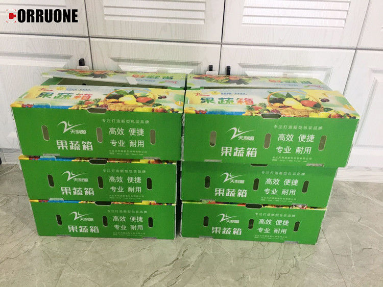 Scatola di plastica ondulata in PP per ortaggi e frutta Scatola di imballaggio per broccoli di mais e agricoltura