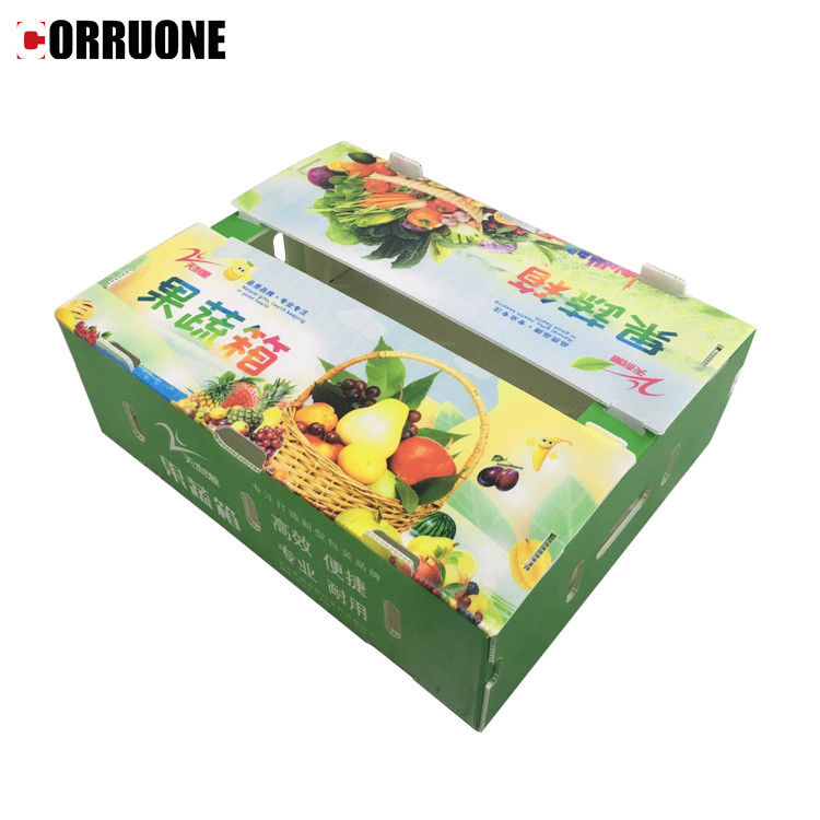 Scatola di plastica ondulata in PP per ortaggi e frutta Scatola di imballaggio per broccoli di mais e agricoltura
