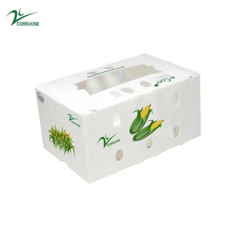 Contenitore ondulato di favo delle scatole di stoccaggio di Corflute dei broccoli per i frutti