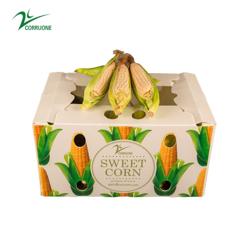 Corruone Acque resistenti Polipropilene pieghevole di plastica ondulata Frutta ortaggi Asparagi/Zenzero/Taro/Okra Scatola di imballaggio