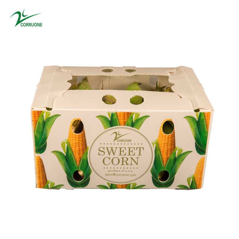 Corruone Acque resistenti Polipropilene pieghevole di plastica ondulata Frutta ortaggi Asparagi/Zenzero/Taro/Okra Scatola di imballaggio