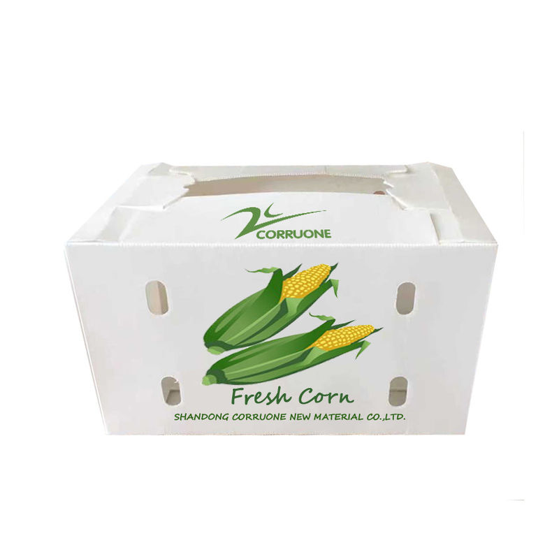 Corruone Acque resistenti Polipropilene pieghevole di plastica ondulata Frutta ortaggi Asparagi/Zenzero/Taro/Okra Scatola di imballaggio