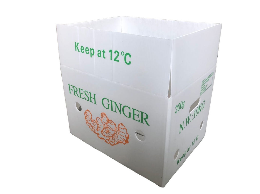 Imballaggio di ortaggi di frutta PP Cartone di plastica Uve Scatole di imballaggio di plastica Scatole di broccoli carta di zenzero ondulata