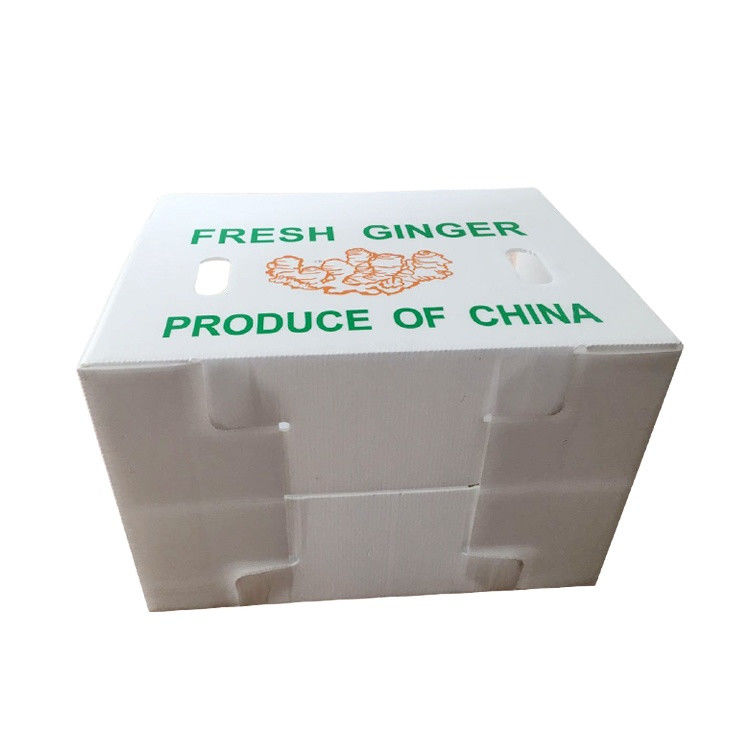 Imballaggio di ortaggi di frutta PP Cartone di plastica Uve Scatole di imballaggio di plastica Scatole di broccoli carta di zenzero ondulata