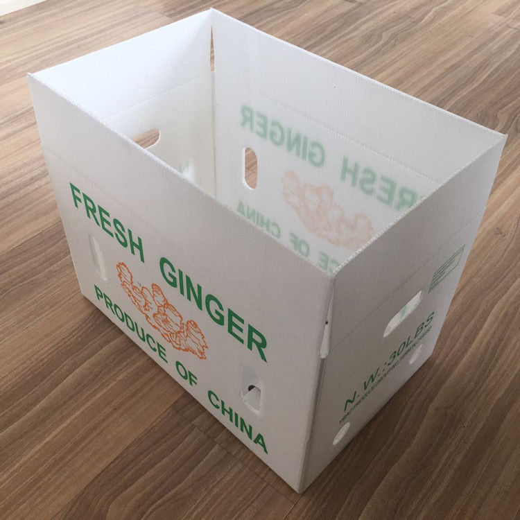 Imballaggio di ortaggi di frutta PP Cartone di plastica Uve Scatole di imballaggio di plastica Scatole di broccoli carta di zenzero ondulata