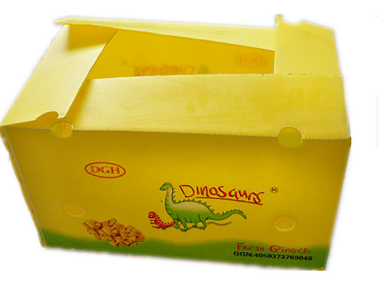 Imballaggio di ortaggi di frutta PP Cartone di plastica Uve Scatole di imballaggio di plastica Scatole di broccoli carta di zenzero ondulata