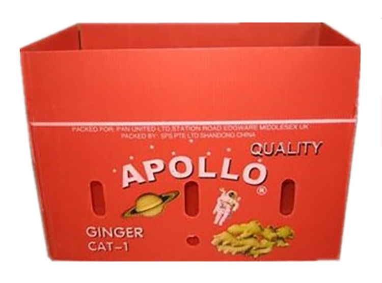 Imballaggio di ortaggi di frutta PP Cartone di plastica Uve Scatole di imballaggio di plastica Scatole di broccoli carta di zenzero ondulata