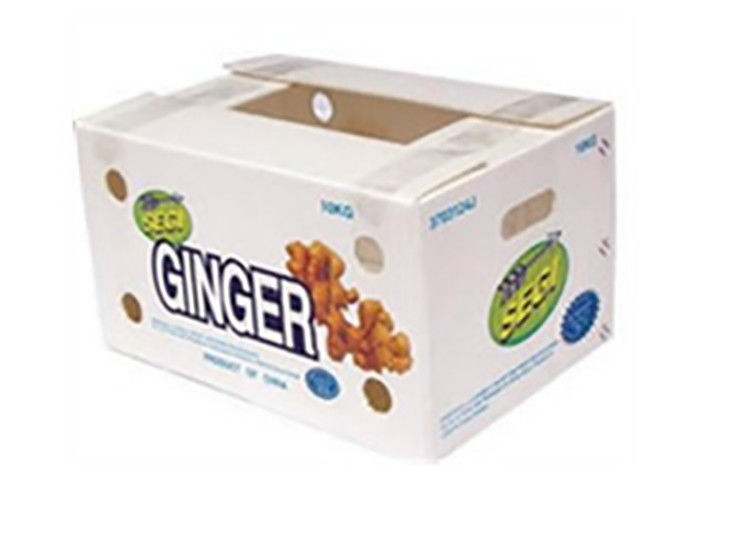 Imballaggio di ortaggi di frutta PP Cartone di plastica Uve Scatole di imballaggio di plastica Scatole di broccoli carta di zenzero ondulata