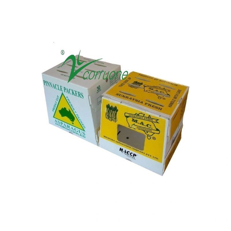 Corruone PP polipropilene correx scatola pieghevole per ortaggi e frutta fresca scatola in foglio di plastica ondulata in pp