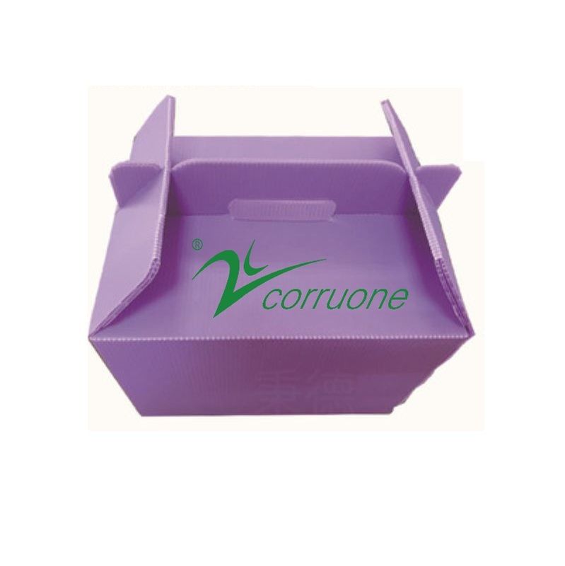 Corruone PP polipropilene correx scatola pieghevole per ortaggi e frutta fresca scatola in foglio di plastica ondulata in pp