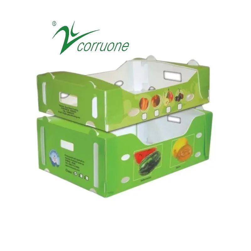 Corruone PP polipropilene danpla scatola di plastica Correx cartone di protezione fogli di poliflutto scatole di imballaggio in plastica ondulata