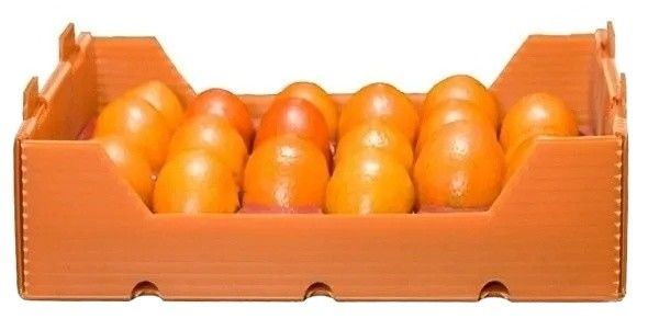 Corruone PP polipropilene danpla scatola di plastica Correx cartone di protezione fogli di poliflutto scatole di imballaggio in plastica ondulata
