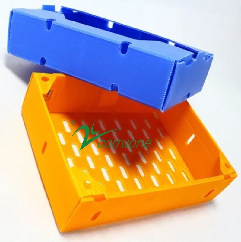 Corruone PP polipropilene danpla scatola di plastica Correx cartone di protezione fogli di poliflutto scatole di imballaggio in plastica ondulata