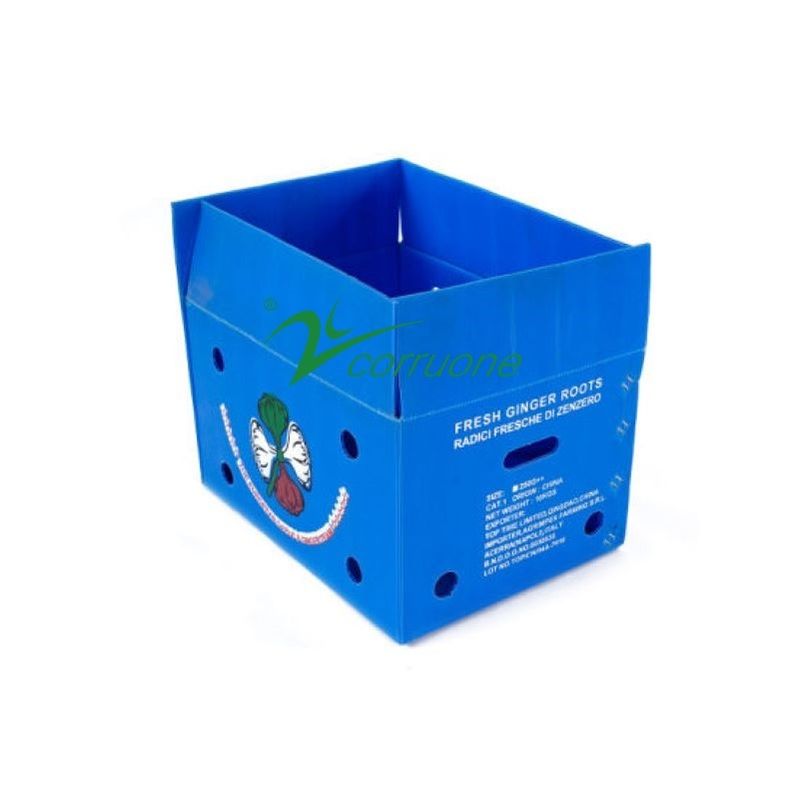 Corruone impermeabile Imballaggio per frutta e verdura PP Cartone di plastica Uve Scatole di imballaggio di plastica Scatole di broccoli scatole ondulate scatole di zenzero