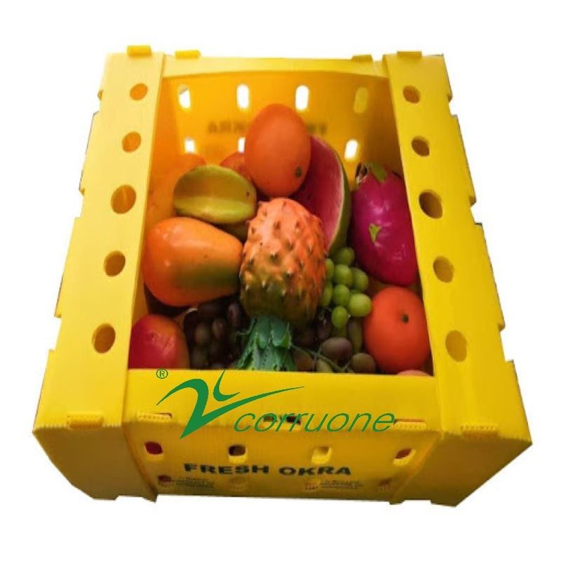 Corruone impermeabile Imballaggio per frutta e verdura PP Cartone di plastica Uve Scatole di imballaggio di plastica Scatole di broccoli scatole ondulate scatole di zenzero